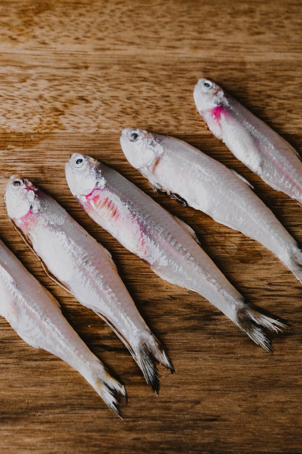 Anchovies