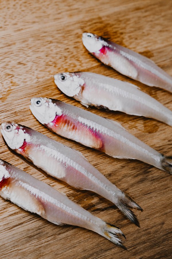Anchovies