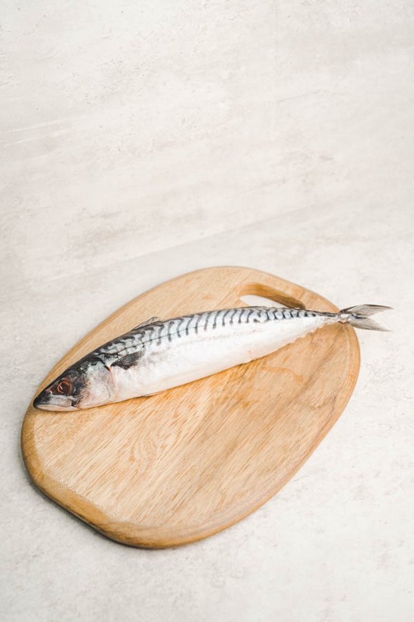 Atlantic Mackerel