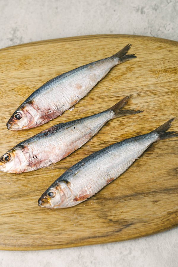 Wild Caught Sardines