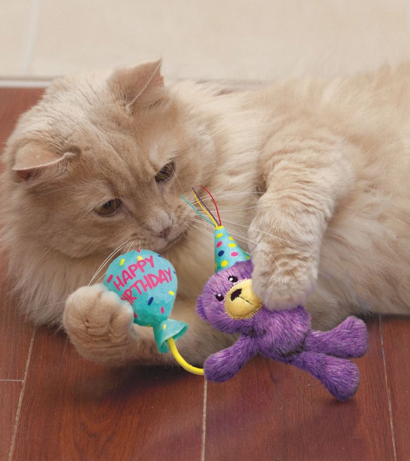 KONG Cat Occasions Birthday Teddy