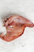 Pig Ear